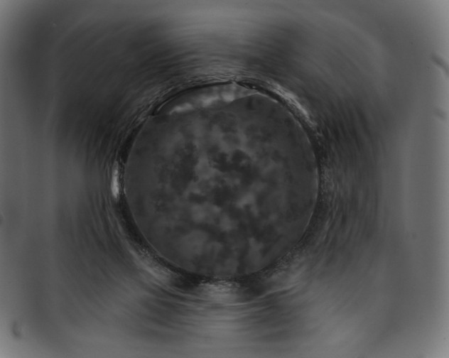 X0000095530069200712141511