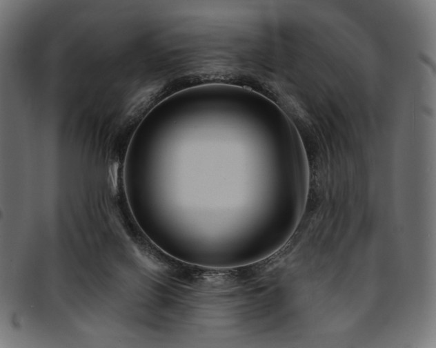 X0000095530070200712141511