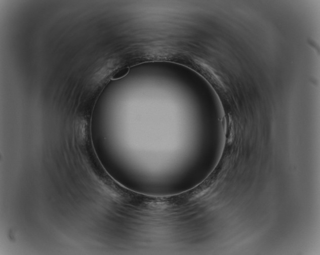 X0000095530071200712141511