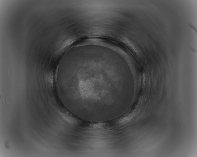 X0000095530072200712141511