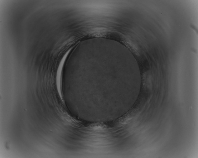 X0000095530073200712141511