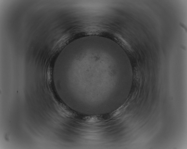 X0000095530074200712141511