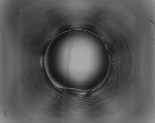 X0000095530075200712141511