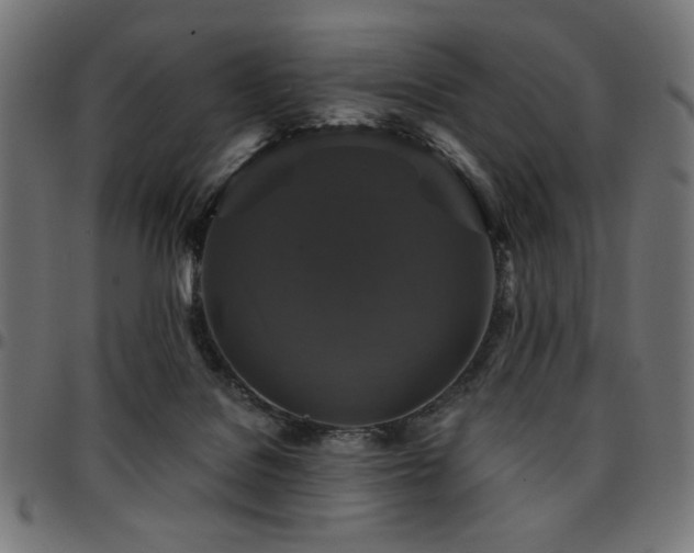 X0000095530076200712141511