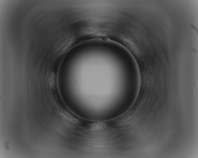 X0000095530077200712141511