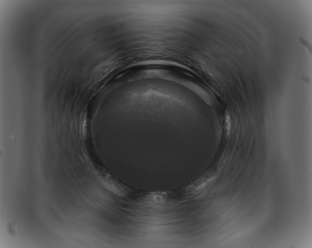 X0000095530080200712141511