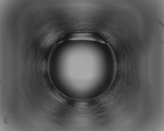 X0000095530081200712141511