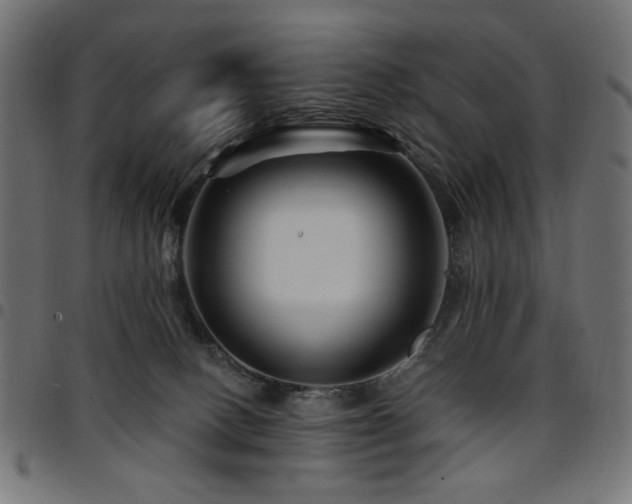 X0000095530082200712141511
