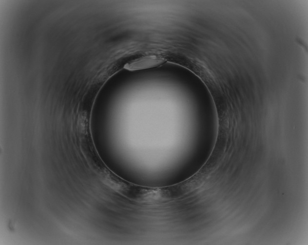 X0000095530083200712141511