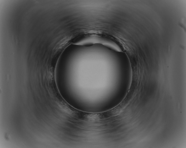 X0000095530085200712141512