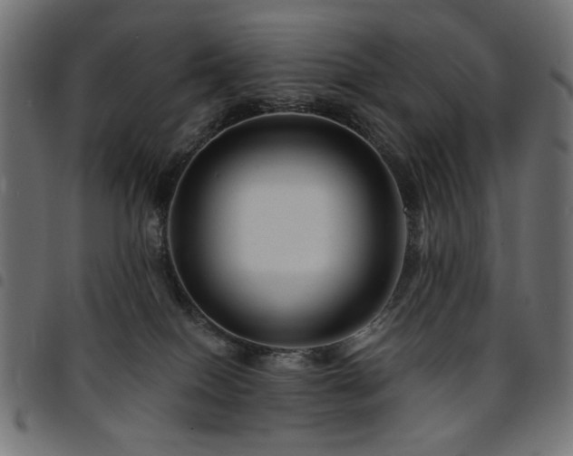 X0000095530086200712141512