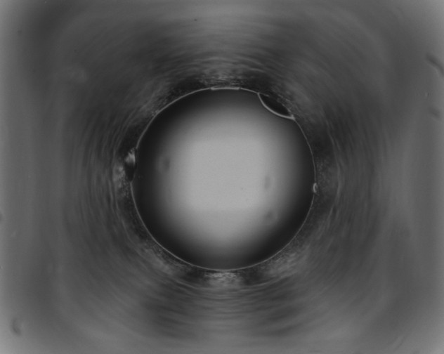 X0000095530087200712141512