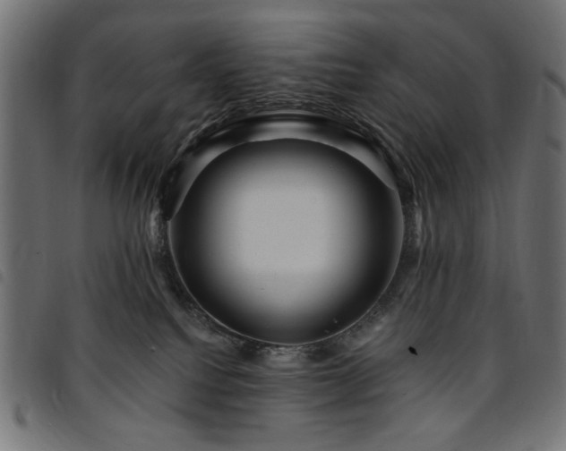 X0000095530088200712141512