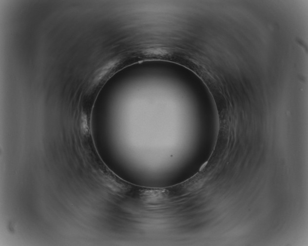 X0000095530089200712141512