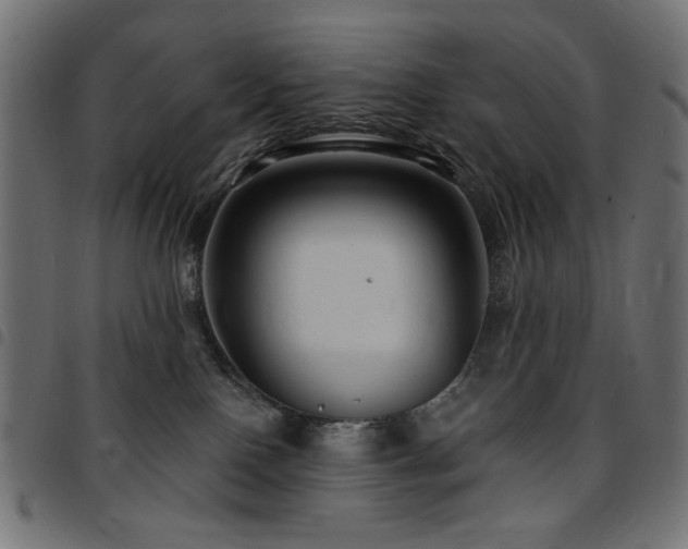 X0000095530090200712141512