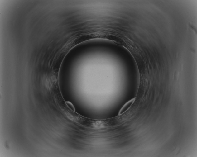 X0000095530091200712141512