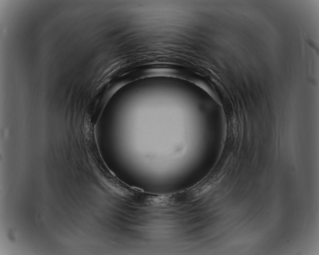 X0000095530092200712141512