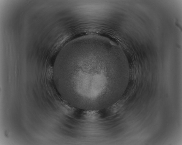 X0000095530093200712141512