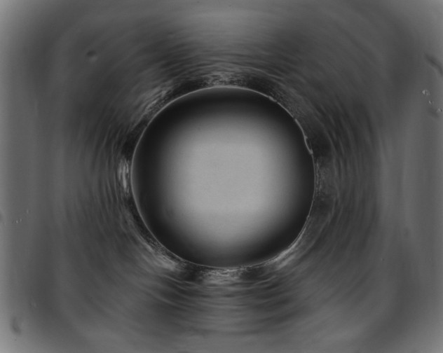 X0000095530094200712141512