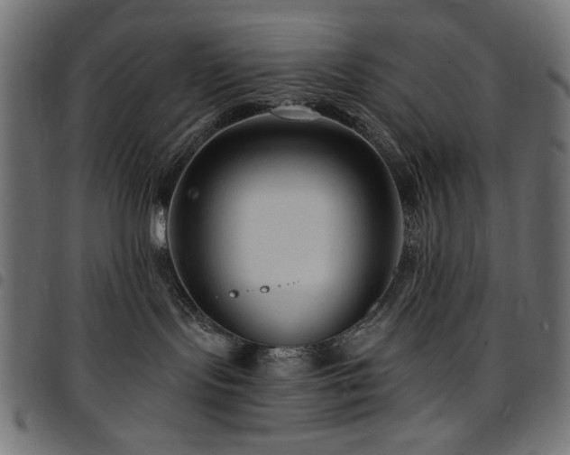 X0000095530095200712141512