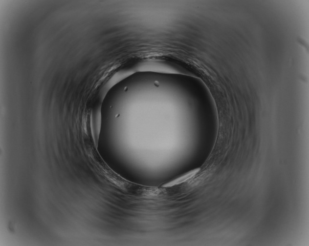 X0000095530096200712141512