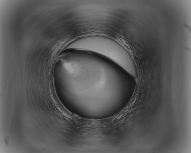 X0000095530097200712141511
