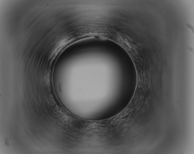 X0000095530098200712141511