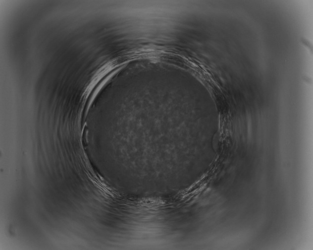 X0000095530099200712141511
