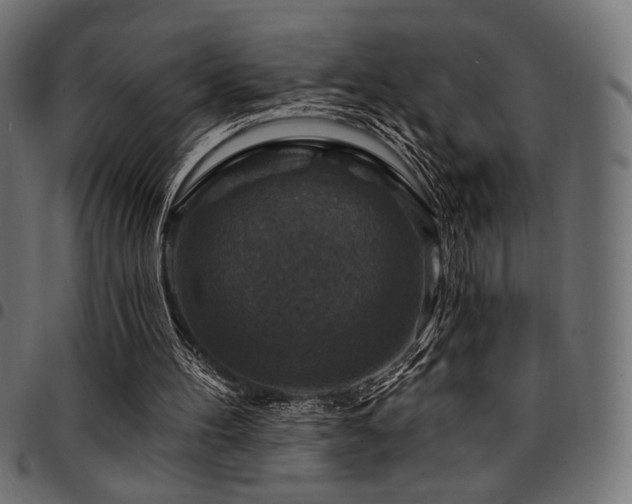 X0000095530100200712141511