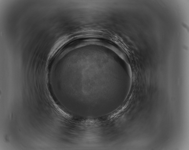 X0000095530101200712141511