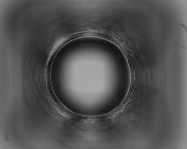 X0000095530102200712141511