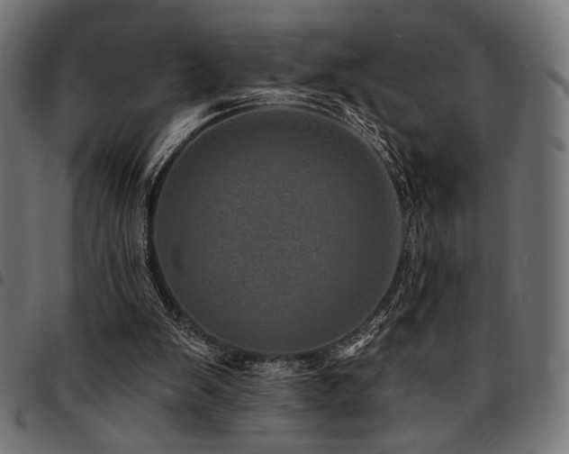 X0000095530103200712141511