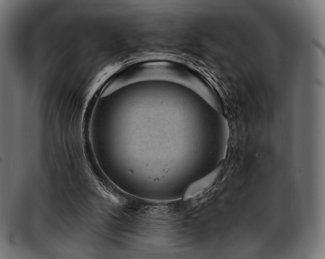 X0000095530104200712141511