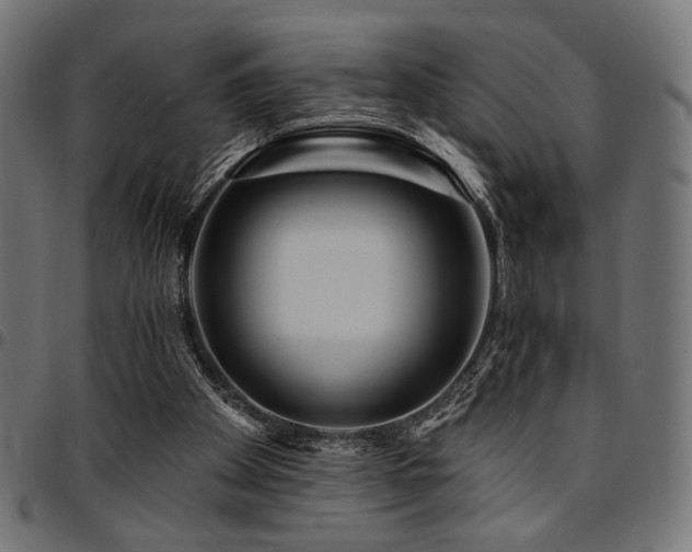 X0000095530105200712141511