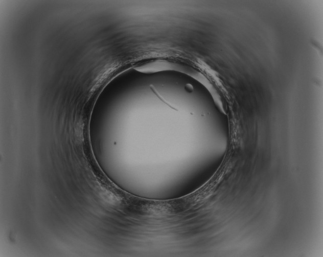 X0000095530106200712141511