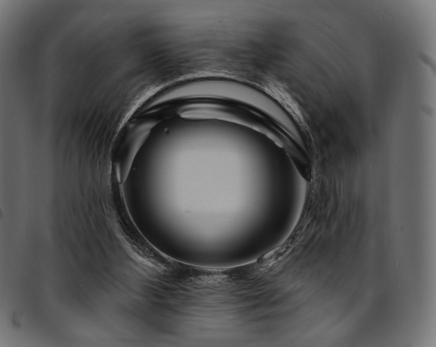 X0000095530108200712141511