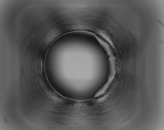 X0000095530109200712141511