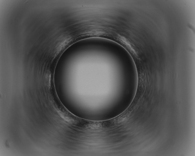 X0000095530110200712141511