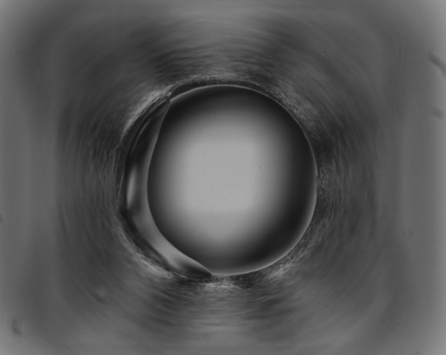 X0000095530112200712141511
