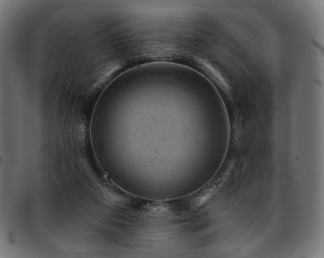 X0000095530113200712141511