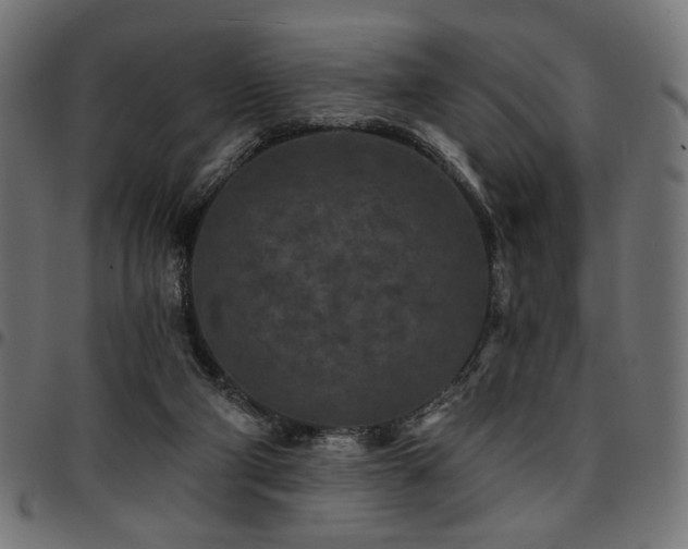 X0000095530114200712141511