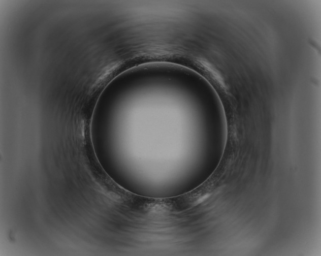 X0000095530115200712141511