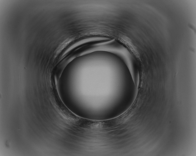 X0000095530116200712141511