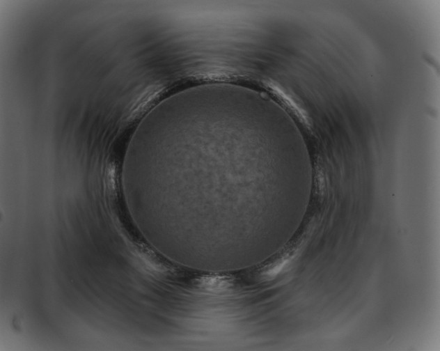 X0000095530117200712141511