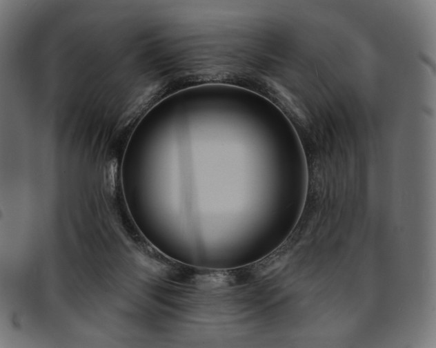 X0000095530118200712141511