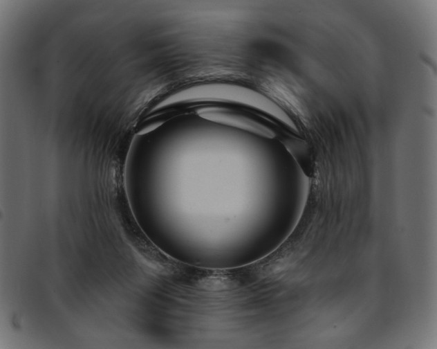 X0000095530119200712141511