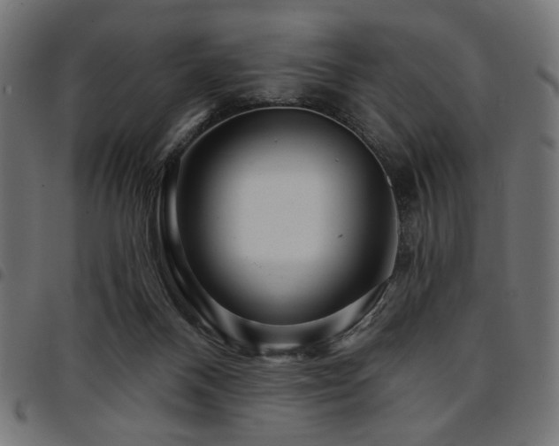 X0000095530120200712141511