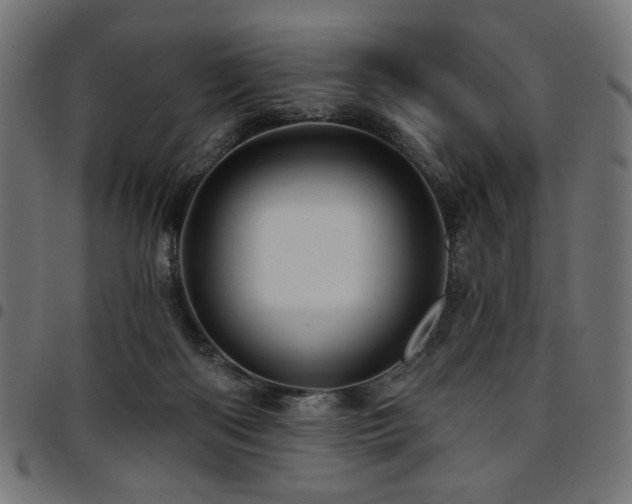 X0000095530122200712141511