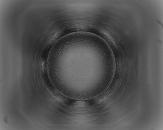X0000095530123200712141510