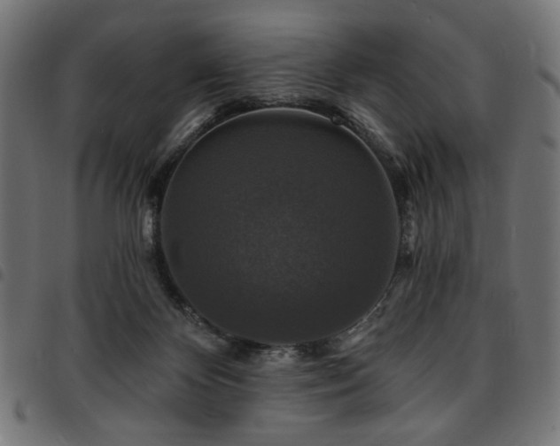 X0000095530124200712141510